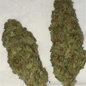 Buy Skywalker OG in Bahamas